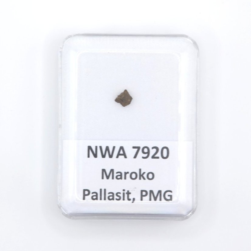Pallasite - NWA 7920 - 0.11 grams