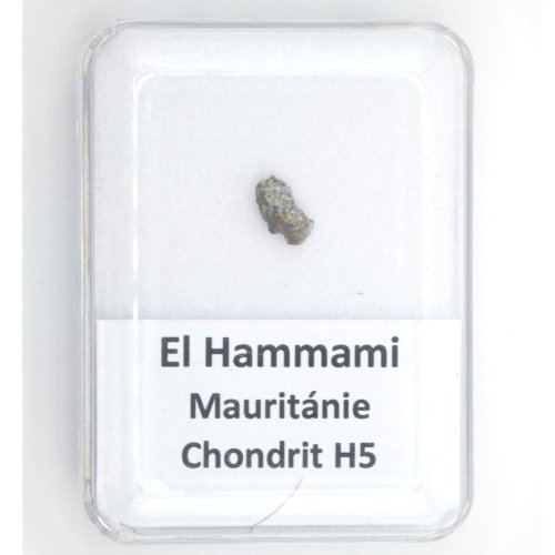 Stone Meteorite - El Hammami - 0.194 grams