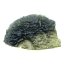 Moldavite 11.24 grams