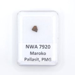 Pallasit - NWA 7920 - 0,20 gramů