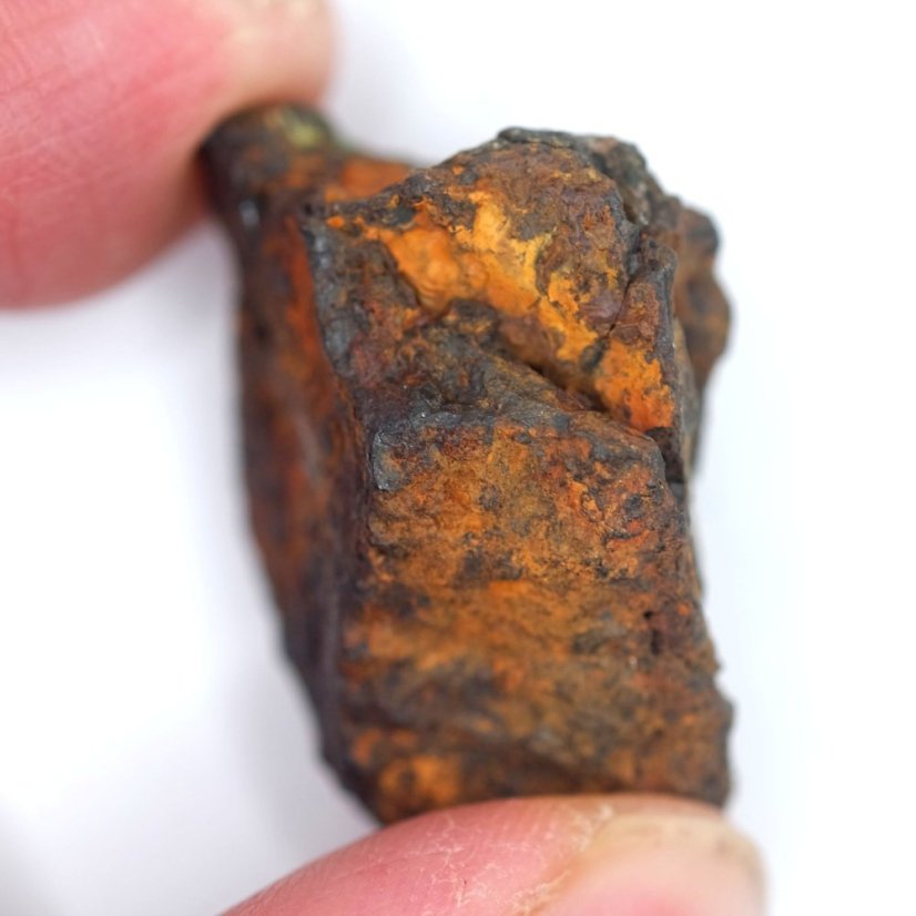 Meteorit - Pallasit - Sericho - 22,96 gramů
