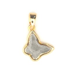 Iron meteorite - pendant - gold plated - motýl