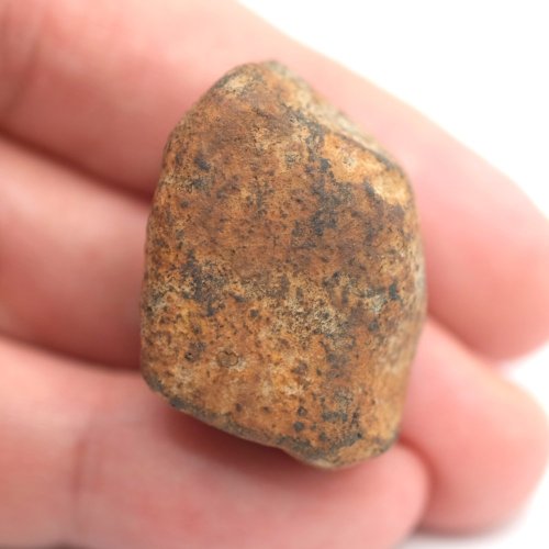 Stone Meteorite - Gao Guenie - 22.77 grams