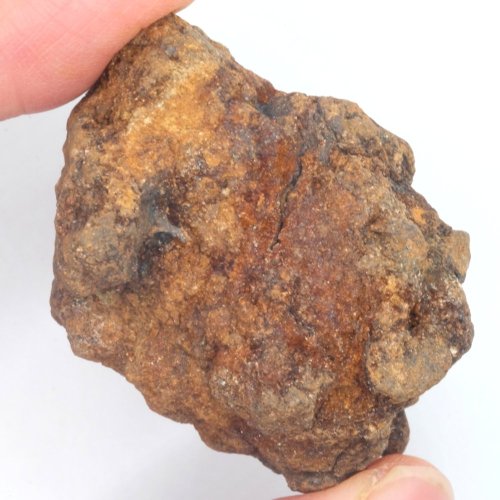 Meteorit - Pallasit - Sericho - 77,89 gramů