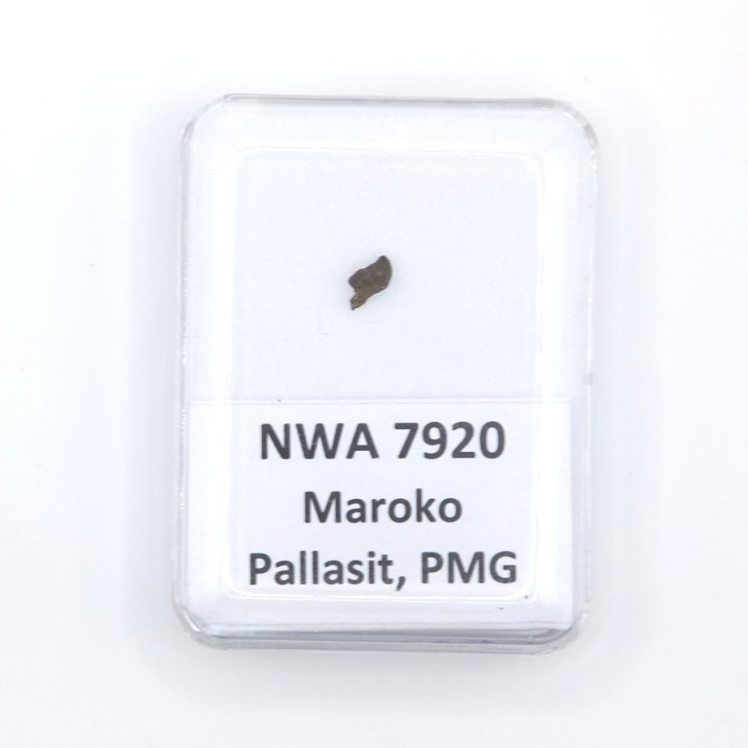 Pallasite - NWA 7920 - 0.06 grams