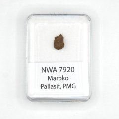 Pallasit - NWA 7920 - 0,54 gramů