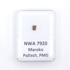 Pallasit - NWA 7920 - 0,11 gramů