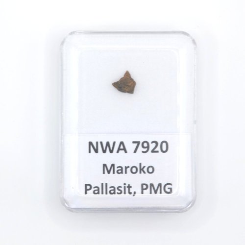 Pallasit - NWA 7920 - 0,20 gramů