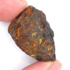Meteorit - Pallasit - Sericho - 23,05 gramů
