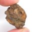 Meteorit - Pallasit - Sericho - 11,51 gramů