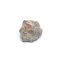 Lunární meteorit - Bechar 006 - 0,698 gramů