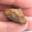 Stone Meteorite - Gao Guenie - 25.42 grams