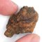 Meteorite - Pallasite - Sericho - 23.26 grams