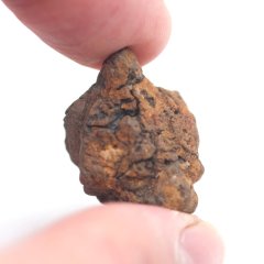 Meteorit - Pallasit - Sericho - 14,20 gramů