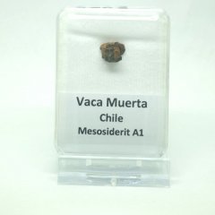 Mesosiderit - Vaca Muerta - 0,73 gramů