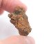 Meteorite - Pallasite - Sericho - 14.33 grams