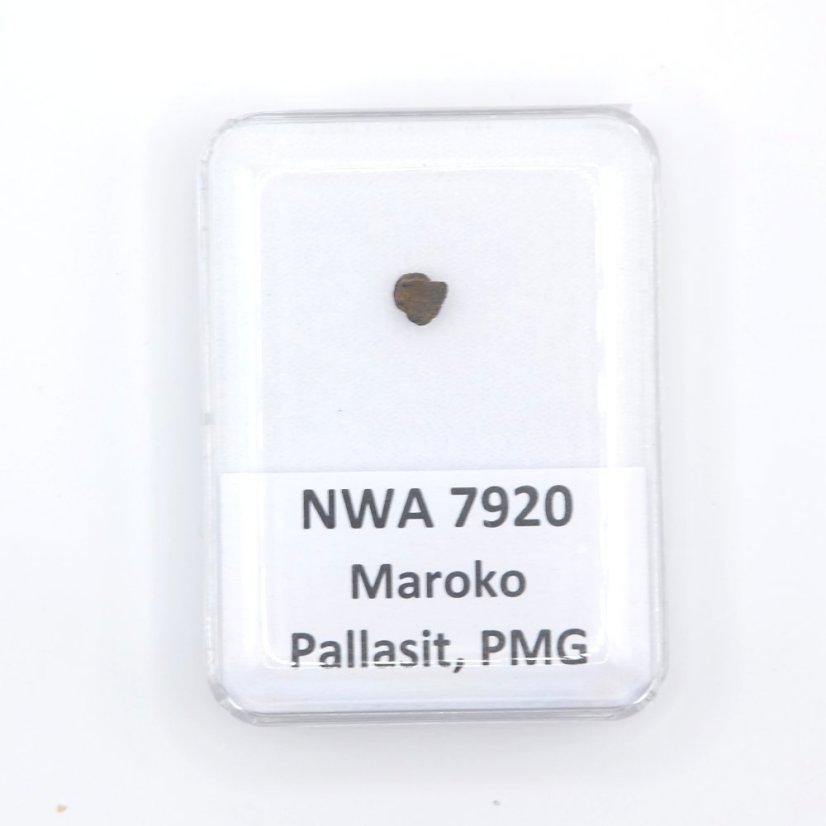 Pallasit - NWA 7920 - 0,14 gramů Pallasit - NWA 7920 - 0,14 gramů
