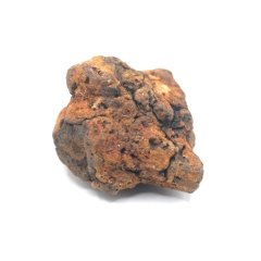 Meteorit - Pallasit - Sericho - 14,20 gramů