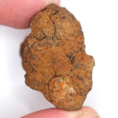 Meteorite - Pallasite - Sericho - 25.46 grams