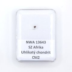 Uhlíkatý chondrit - NWA 13643 - 0,007 gramů