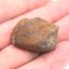 Stone Meteorite - Gao Guenie - 21.70 grams