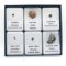Collectible set of meteorites - 6 specimens from Africa and Russia