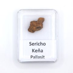Pallasit - Sericho - 3,10 gramů