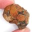 Meteorit - Pallasit - Sericho - 22,78 gramů