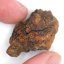Meteorit - Pallasit - Sericho - 23,26 gramů