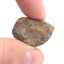 Kamenný meteorit - Gao Guenie - 14,69 gramů