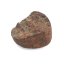 Stone Meteorite - Gao Guenie - 26.05 grams