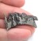 Iron meteorite - Dronino - 14.13 grams