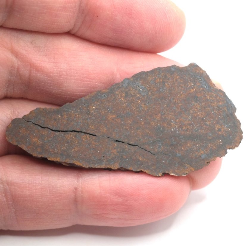 Meteorite NWA XXX (unclassified) – cut slice – 6.203 grams