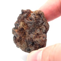 Pallasite - Sericho - 69.59 grams