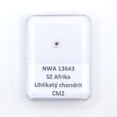 Uhlíkatý chondrit - NWA 13643 - 0,007 gramů