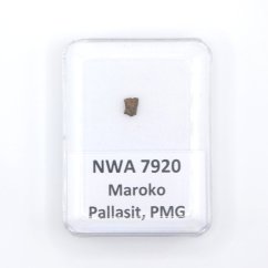 Pallasite - NWA 7920 - 0.11 grams