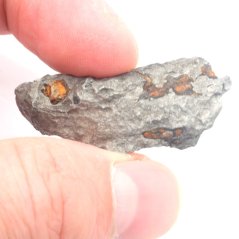 Iron meteorite - Sichote Alin - 21.00 grams