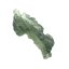Natural moldavite 1.70 grams