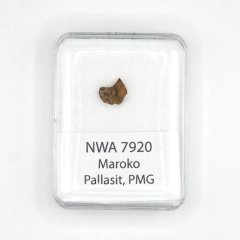 Pallasite - NWA 7920 - 0.51 grams