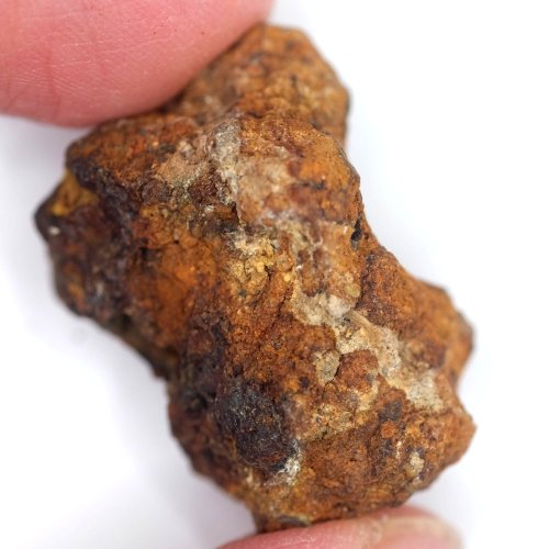 Meteorit - Pallasit - Sericho - 19,55 gramů