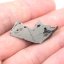 Železný meteorit - Dronino - 8,39 gramů
