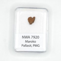 Pallasite - NWA 7920 - 0.48 grams