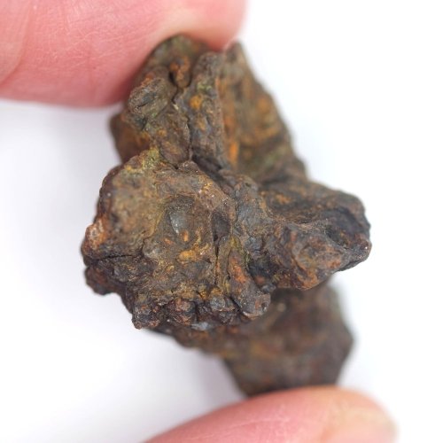Meteorite - Pallasite - Sericho - 21.44 grams