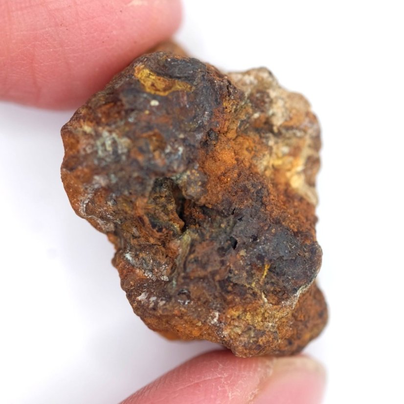Meteorite - Pallasite - Sericho - 19.55 grams