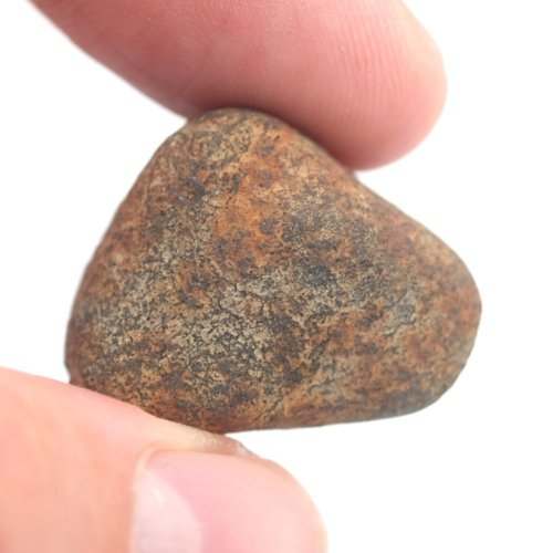 Stone Meteorite - Gao Guenie - 21.62 grams