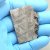 Iron meteorite Muonionalusta - Sweden - 31.31 grams