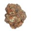 Meteorite - Pallasite - Sericho - 26.01 grams