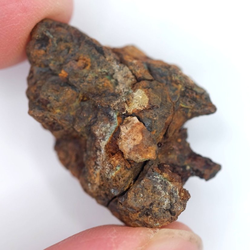Meteorit - Pallasit - Sericho - 15,88 gramů