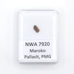 Pallasit - NWA 7920 - 0,15 gramů