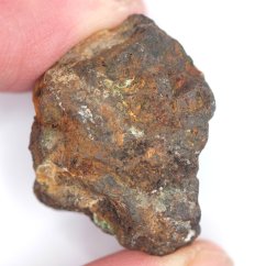 Meteorit - Pallasit - Sericho - 20,36 gramů